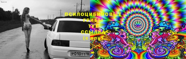 ГАЛЛЮЦИНОГЕННЫЕ ГРИБЫ Алексин